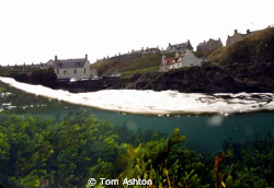 A grey winters day in East Scotland by Tom Ashton 